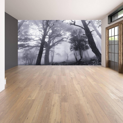Tapet mural Misty Forest – peisaj cu pădure în ceață