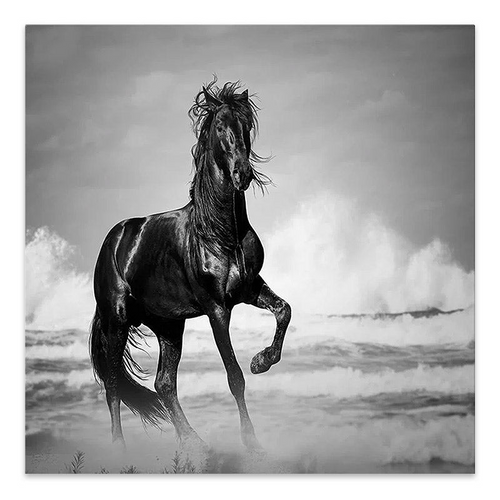 Tablou canvas Black Beauty 60x60x3 cm