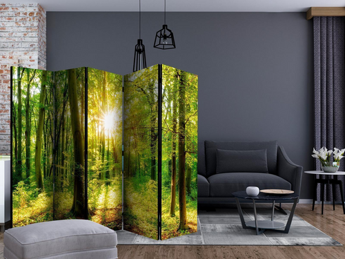 Paravento - Forest Rays II